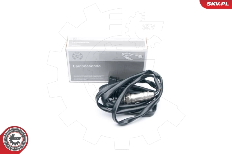 Oxygen Sensor
